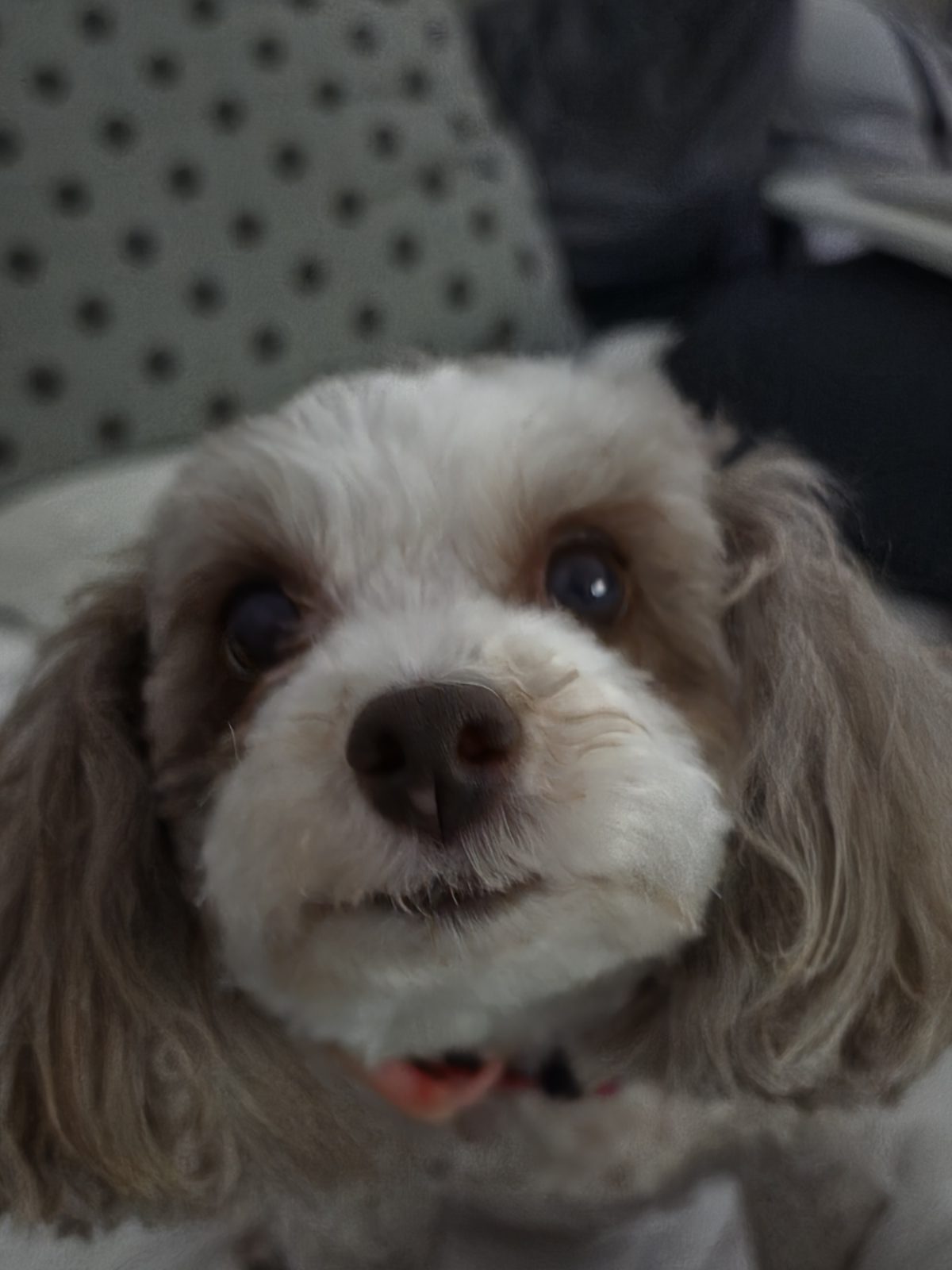 Jolie turns nine. A short tribute.